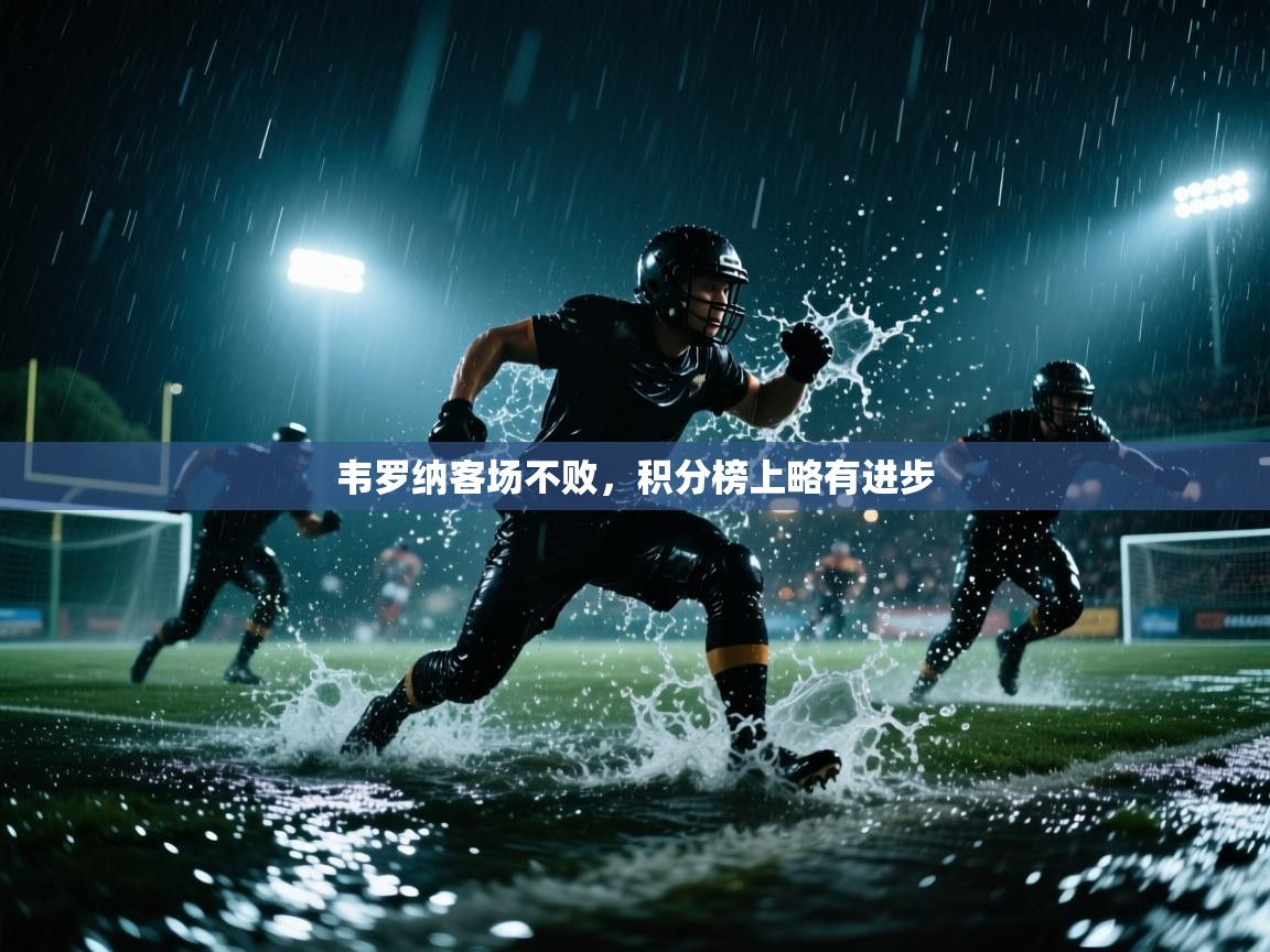 韦罗纳客场不败,积分榜上略有进步 第1张