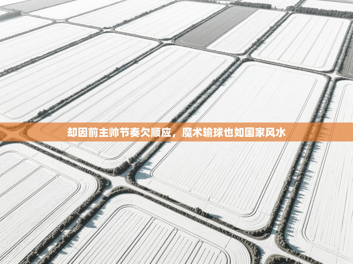 却因前主帅节奏欠顺应,魔术输球也如国家风水 第2张