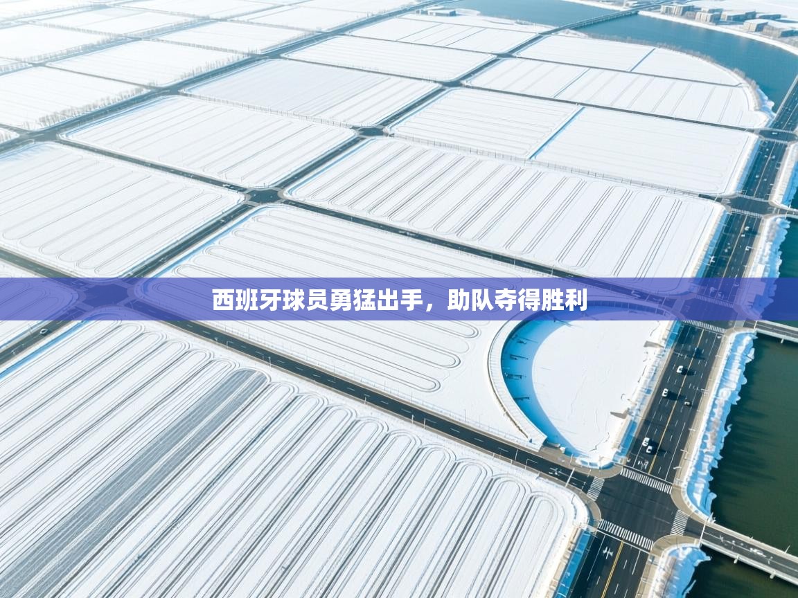 西班牙球员勇猛出手，助队夺得胜利