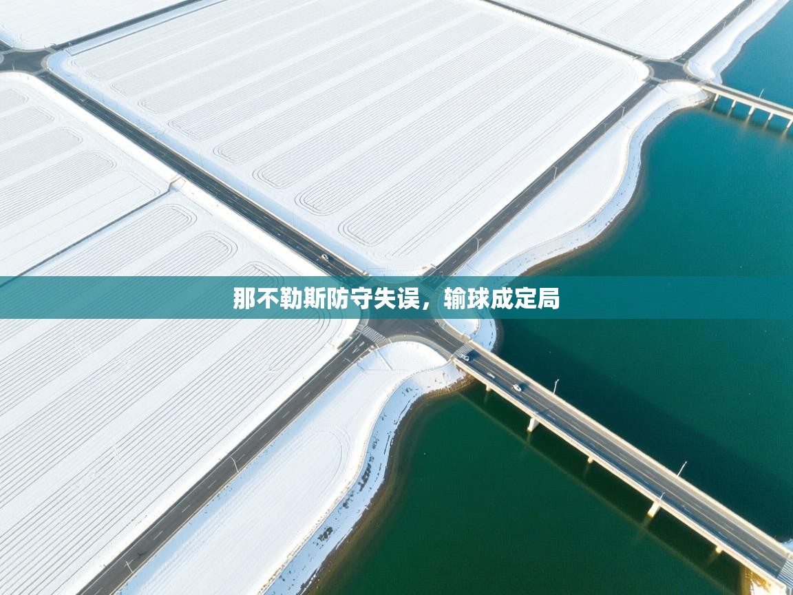 那不勒斯防守失误,输球成定局 第1张