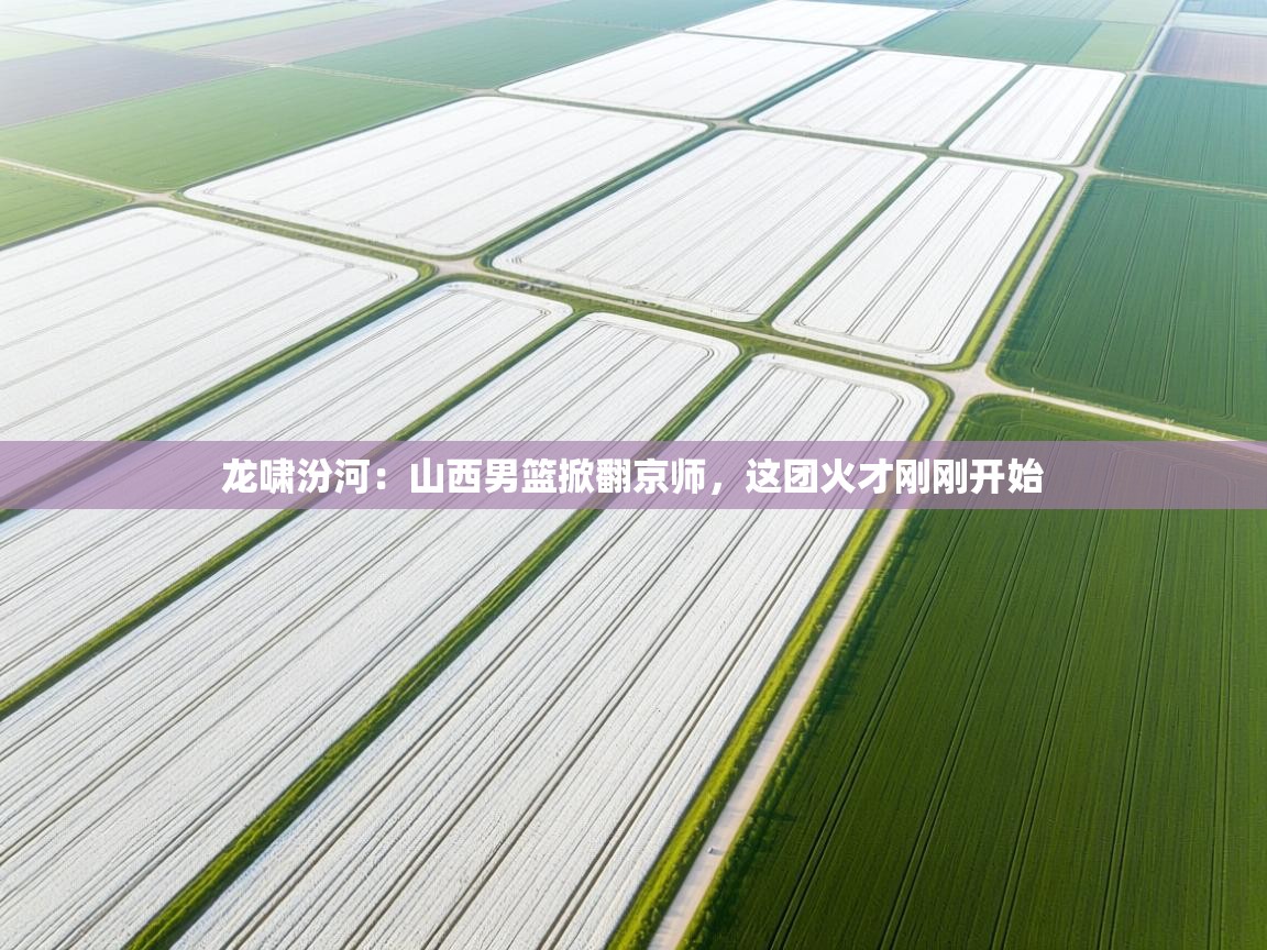 龙啸汾河：山西男篮掀翻京师，这团火才刚刚开始