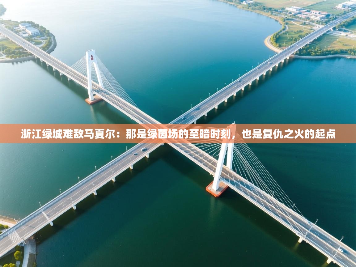 浙江绿城难敌马夏尔：那是绿茵场的至暗时刻，也是复仇之火的起点  第1张