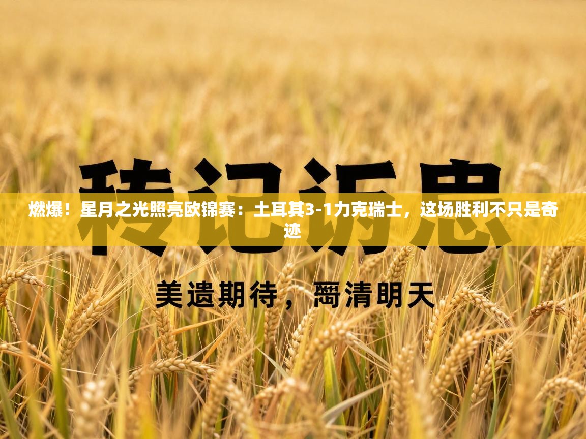 燃爆！星月之光照亮欧锦赛：土耳其3-1力克瑞士，这场胜利不只是奇迹