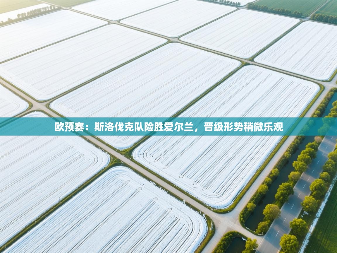 欧预赛：斯洛伐克队险胜爱尔兰，晋级形势稍微乐观